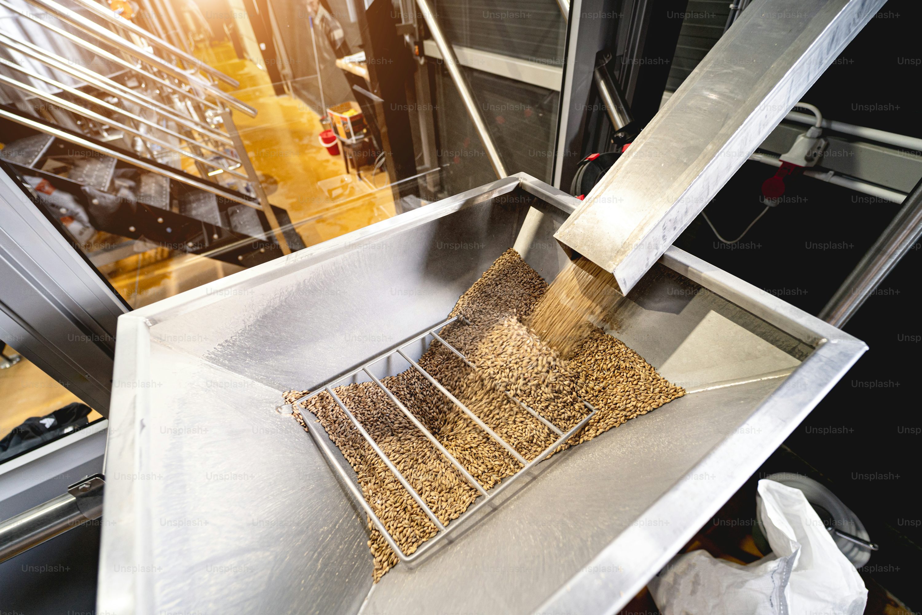 Seed Processing Equipment